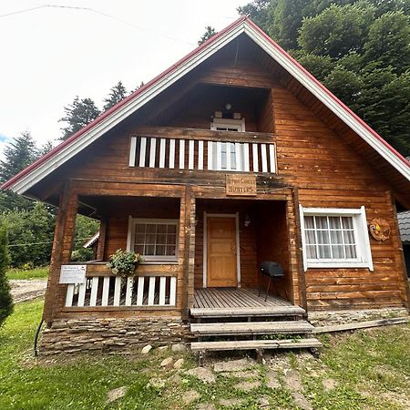 Alpine Ski Chalet Borovets With Sauna エクステリア 写真