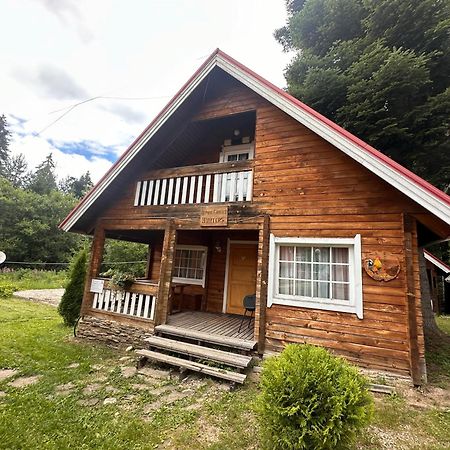 Alpine Ski Chalet Borovets With Sauna エクステリア 写真