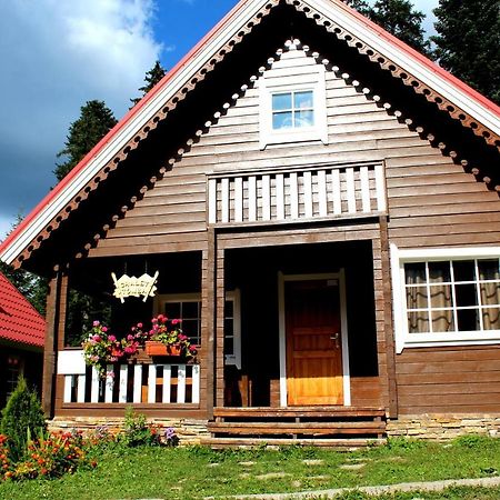 Alpine Ski Chalet Borovets With Sauna エクステリア 写真