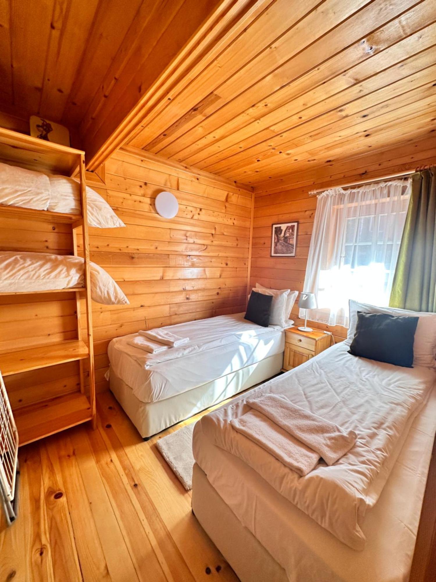 Alpine Ski Chalet Borovets With Sauna エクステリア 写真