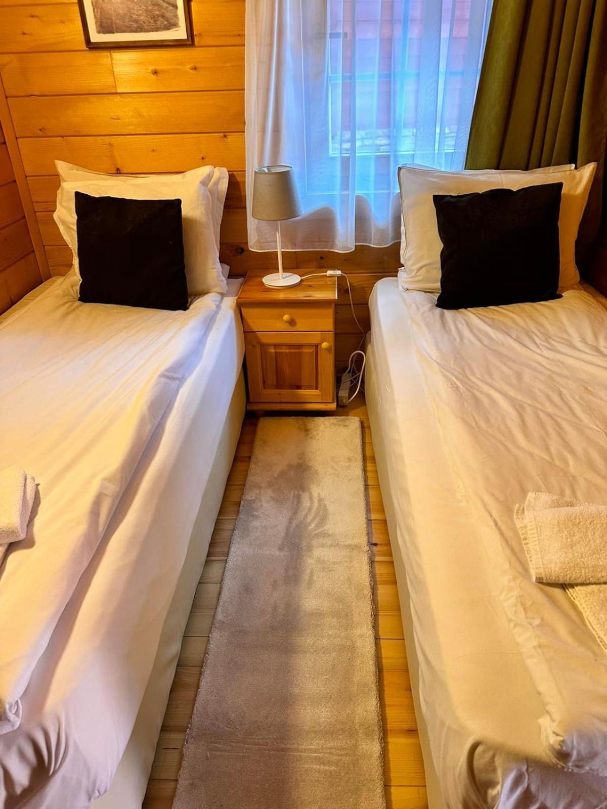 Alpine Ski Chalet Borovets With Sauna エクステリア 写真