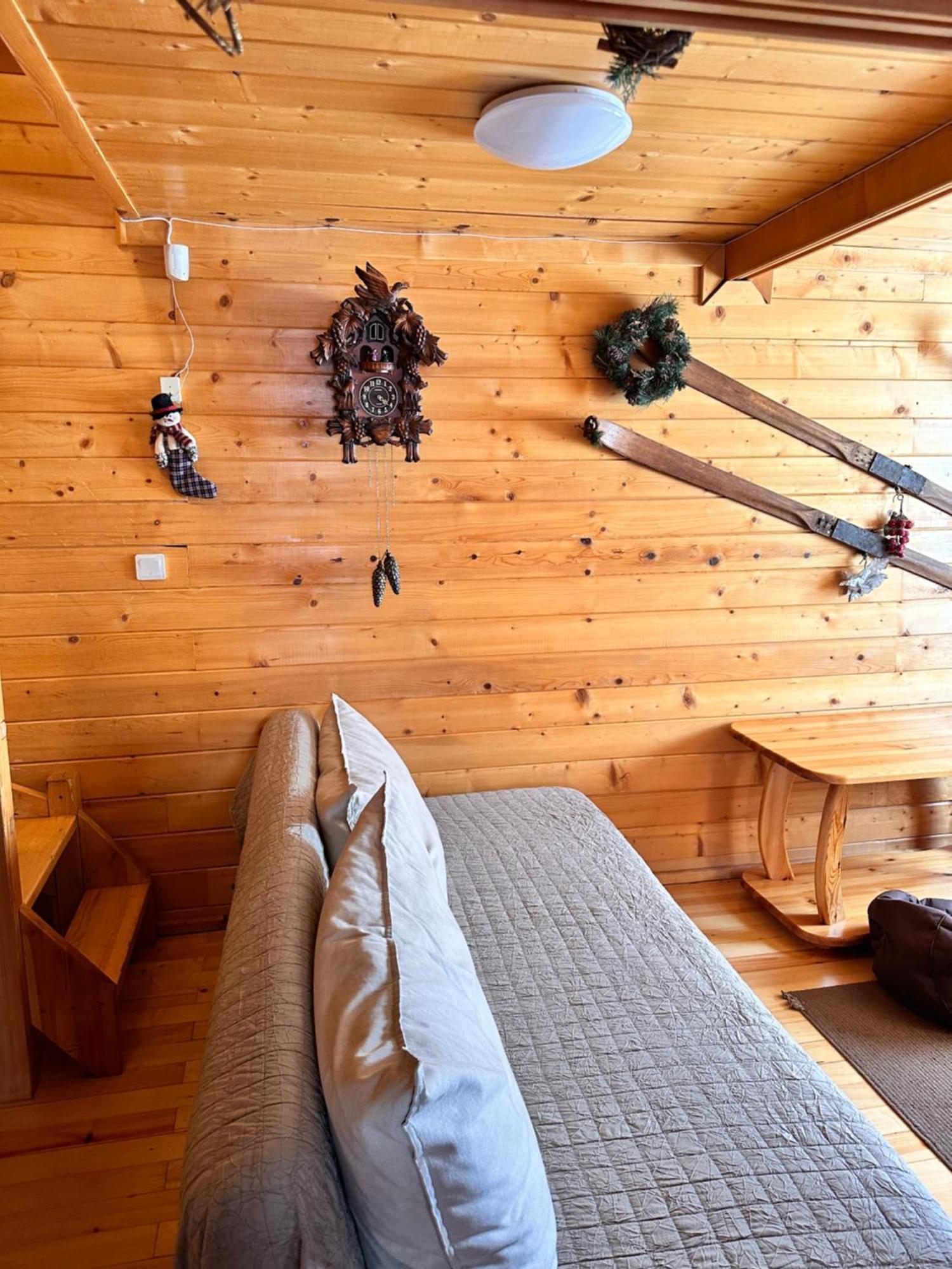 Alpine Ski Chalet Borovets With Sauna エクステリア 写真