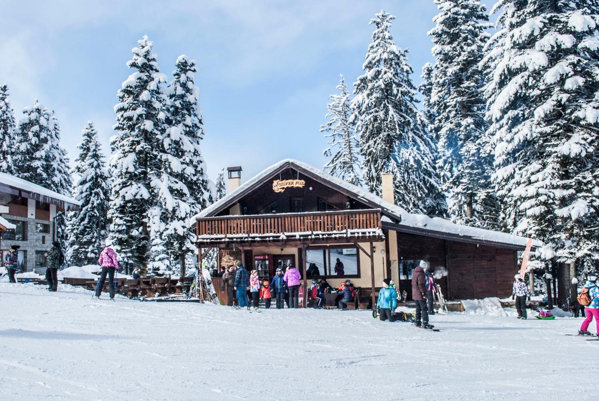 Alpine Ski Chalet Borovets With Sauna エクステリア 写真