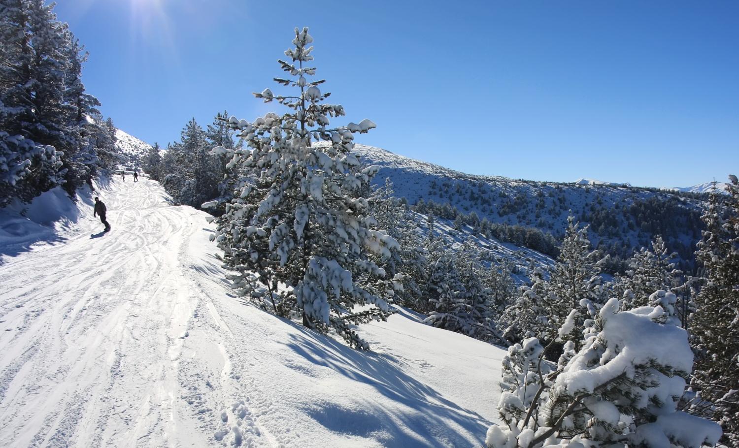 Alpine Ski Chalet Borovets With Sauna エクステリア 写真