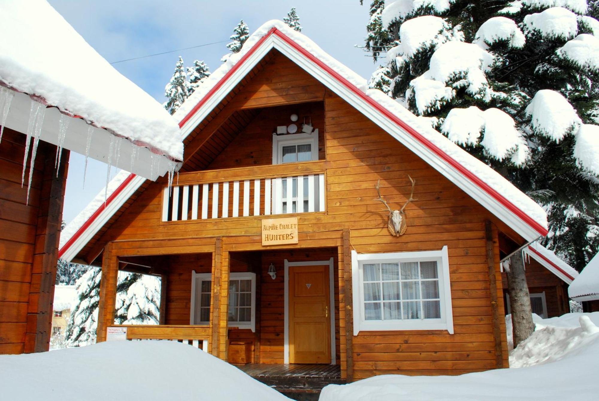 Alpine Ski Chalet Borovets With Sauna エクステリア 写真
