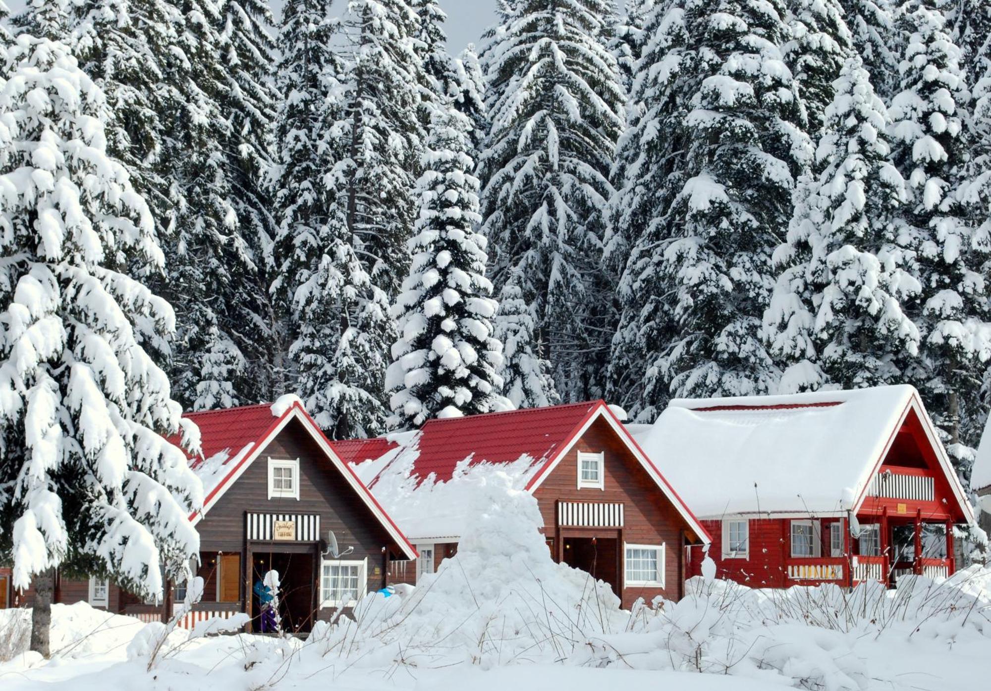 Alpine Ski Chalet Borovets With Saunaヴィラ エクステリア 写真