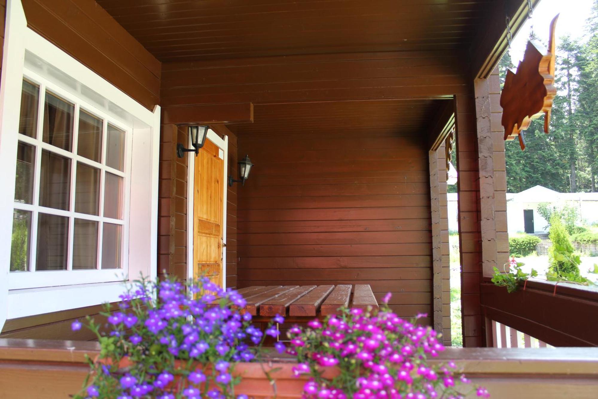Alpine Ski Chalet Borovets With Sauna エクステリア 写真