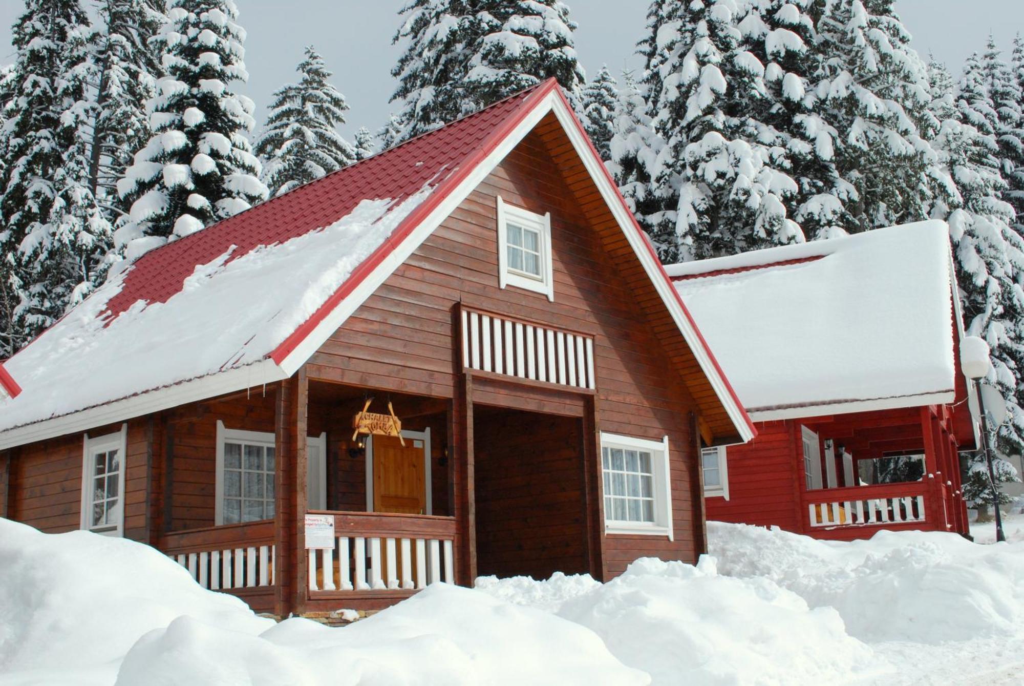 Alpine Ski Chalet Borovets With Sauna エクステリア 写真