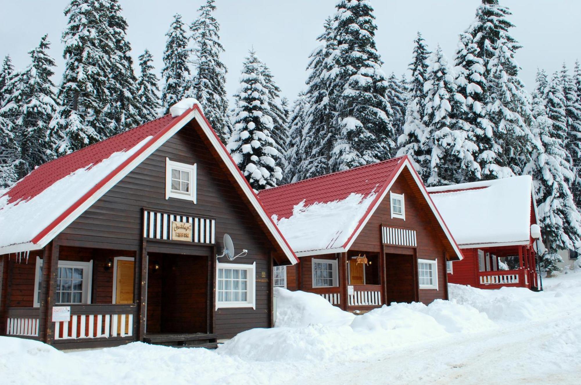 Alpine Ski Chalet Borovets With Sauna エクステリア 写真