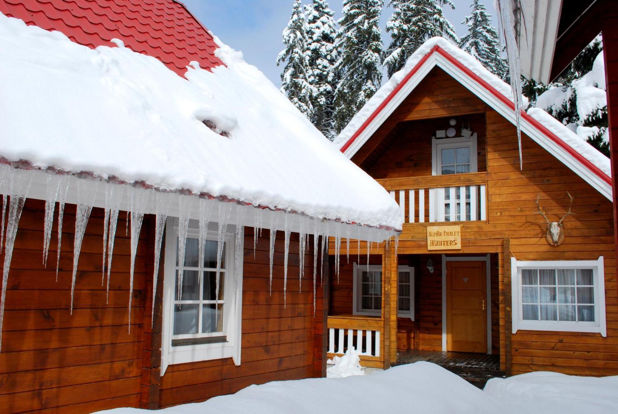 Alpine Ski Chalet Borovets With Sauna 部屋 写真