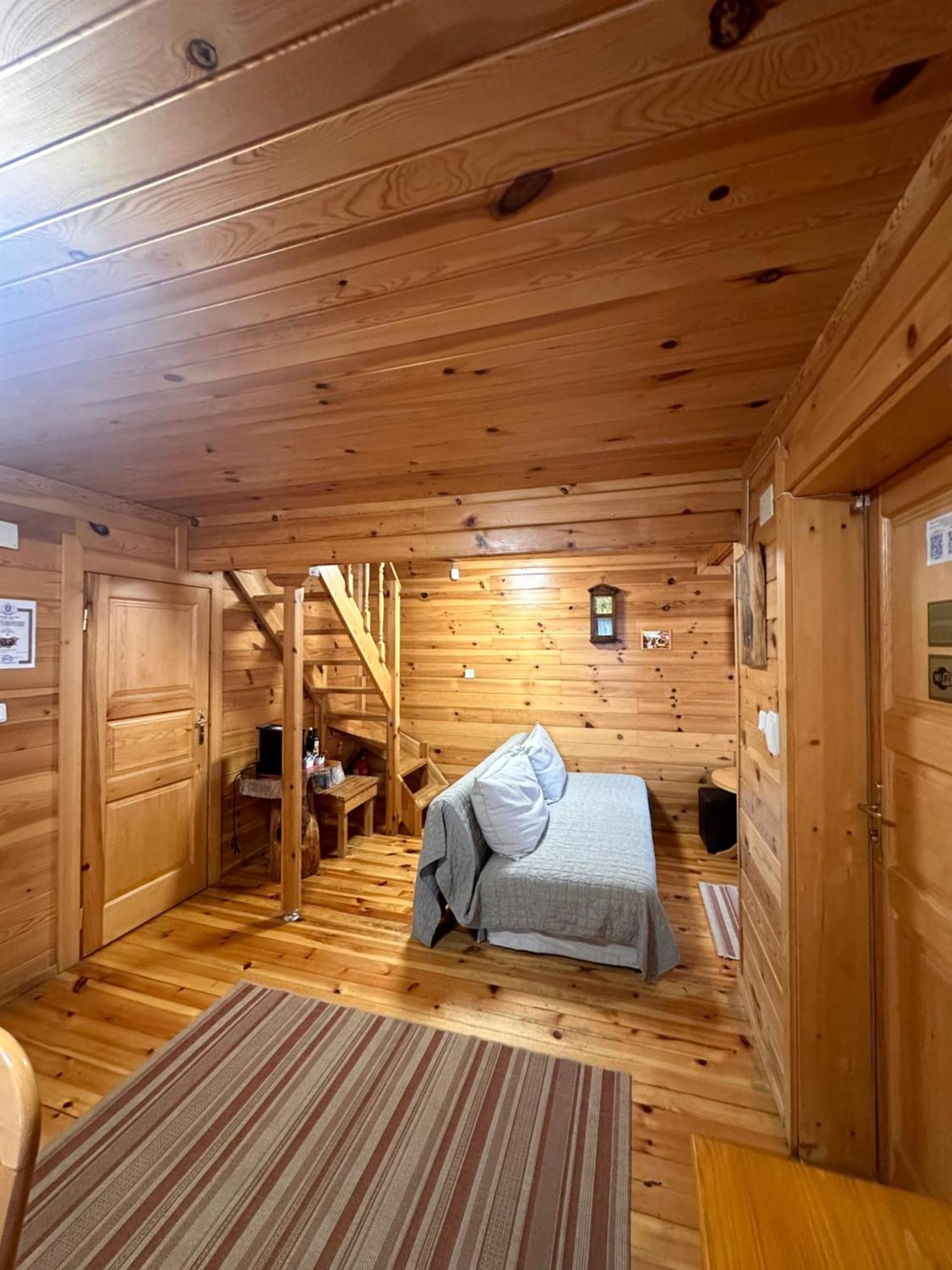 Alpine Ski Chalet Borovets With Sauna エクステリア 写真